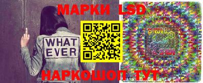 прущие грибы Апрелевка
