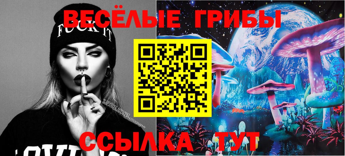 где продают наркотики  Псилоцибиновые грибы MAGIC MUSHROOMS  Вход с VPN  Аша 